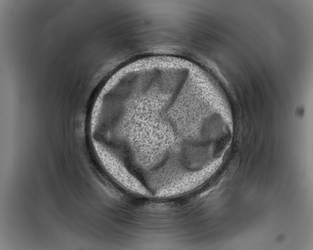 X0000099480299200805301624