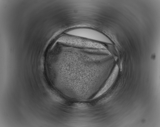 X0000099480300200805301624