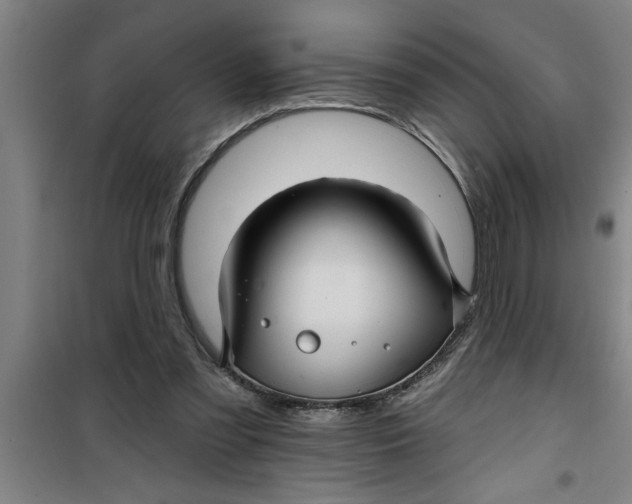 X0000099480301200805301624