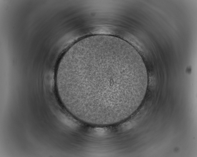 X0000099480302200805301624