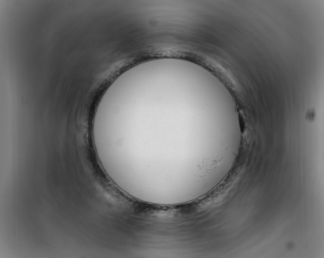 X0000099480306200805301624