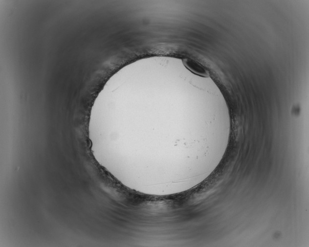 X0000099480307200805301624