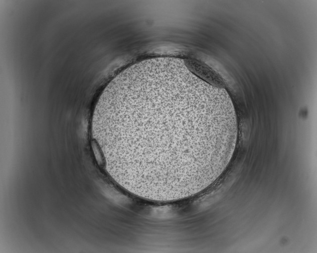 X0000099480309200805301624