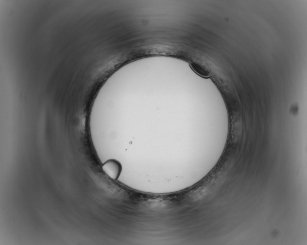 X0000099480310200805301624