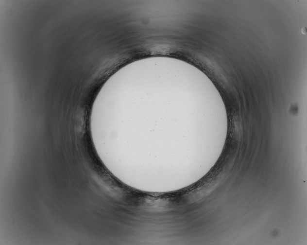 X0000099480311200805301624