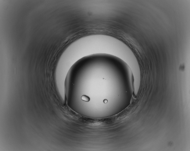 X0000099480312200805301624