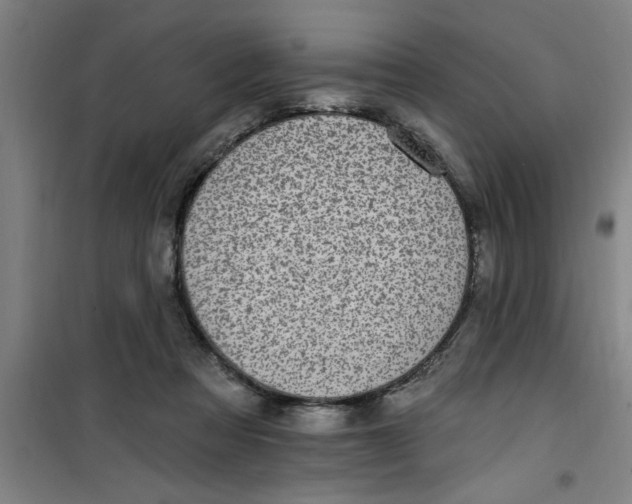 X0000099480313200805301624