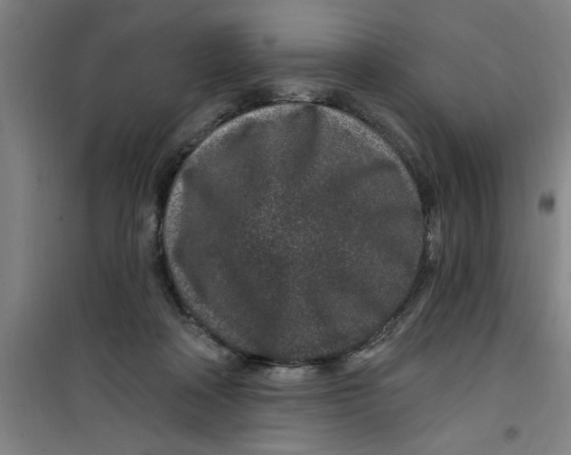 X0000099480314200805301624