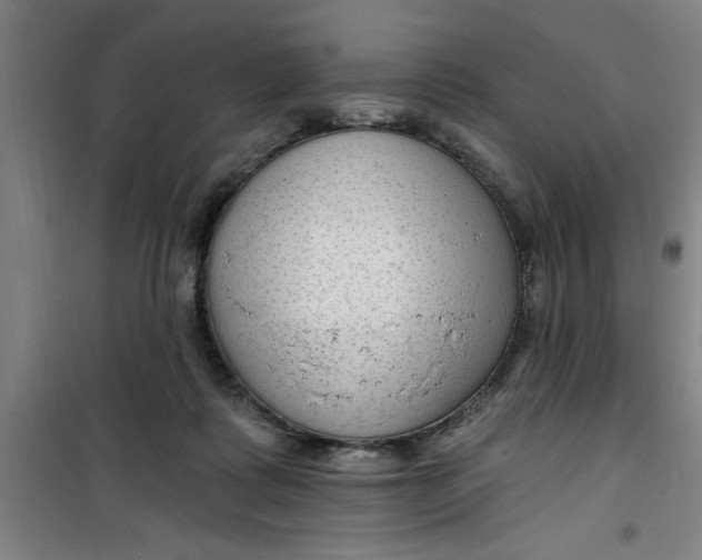 X0000099480315200805301624