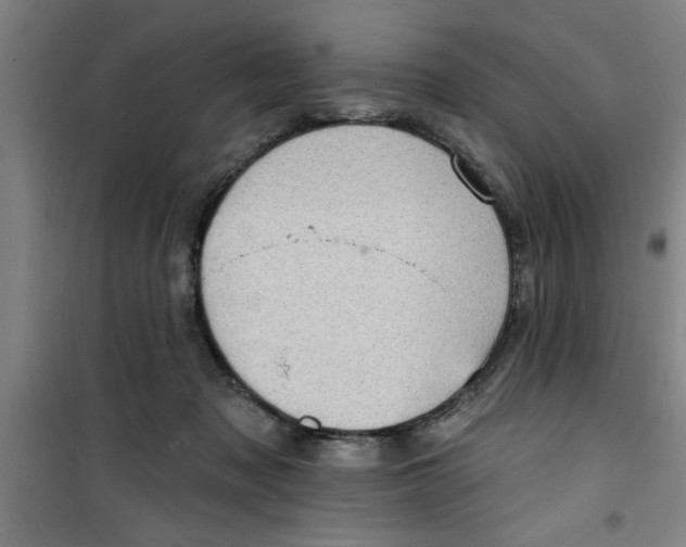 X0000099480317200805301624