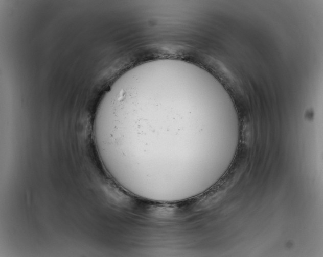 X0000099480318200805301624