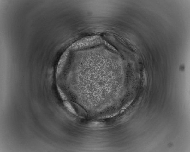 X0000099480319200805301624