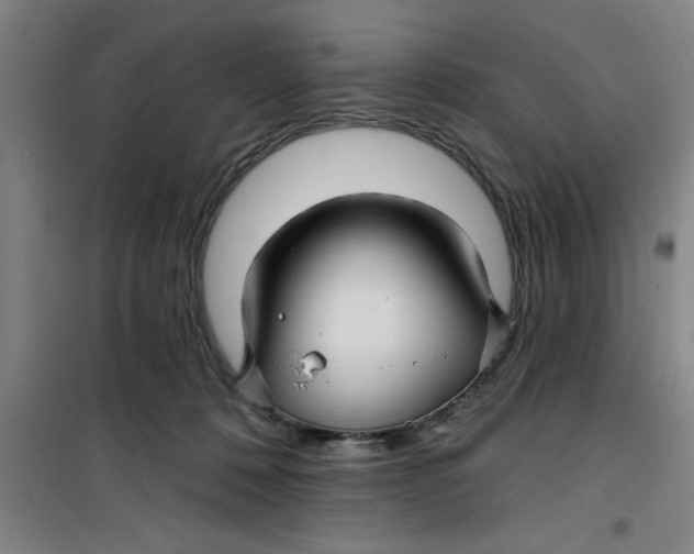 X0000099480320200805301624