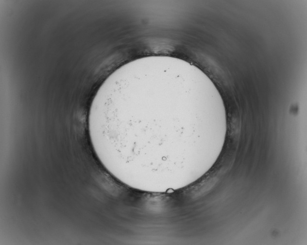 X0000099480321200805301624