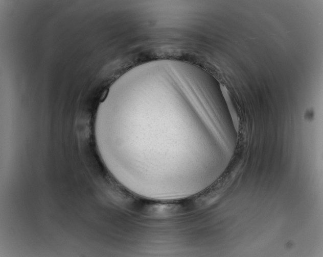 X0000099480323200805301624