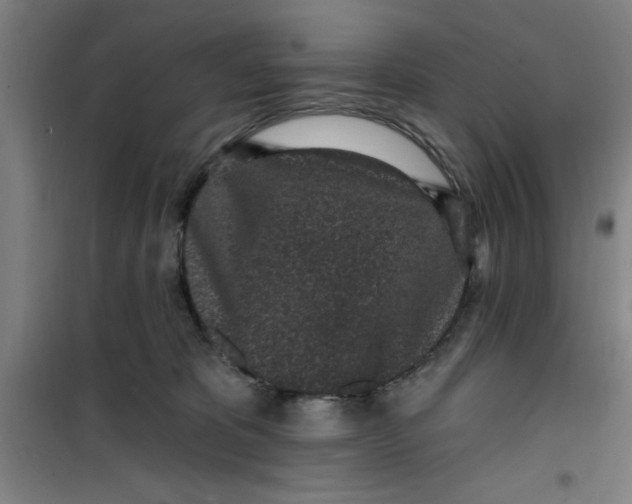 X0000099480325200805301624