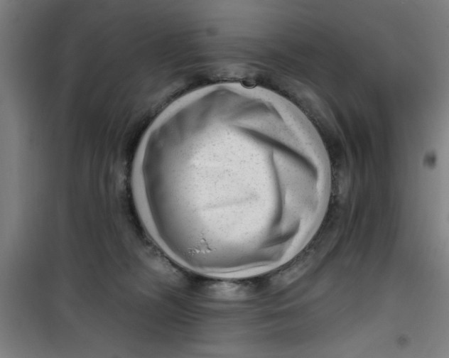 X0000099480326200805301624