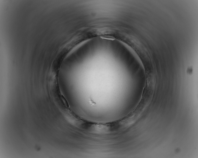 X0000099480327200805301624