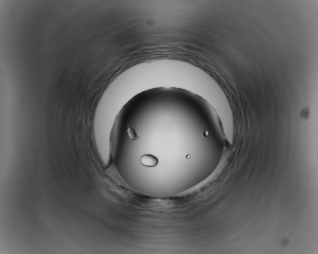 X0000099480328200805301624