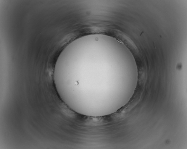 X0000099480329200805301624
