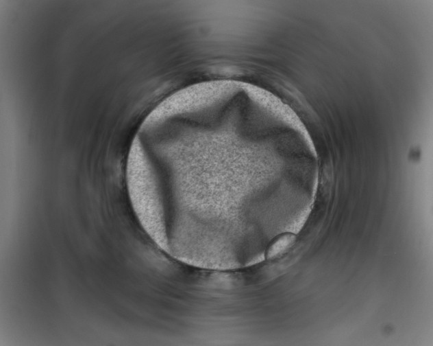 X0000099480330200805301624