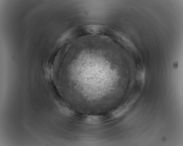 X0000099480332200805301624