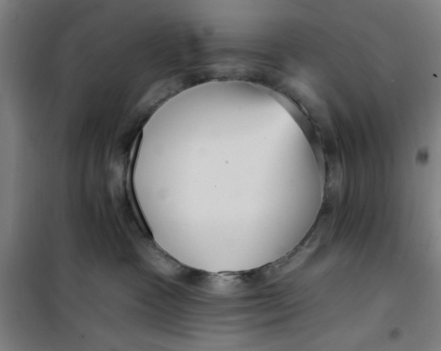 X0000099480333200805301624