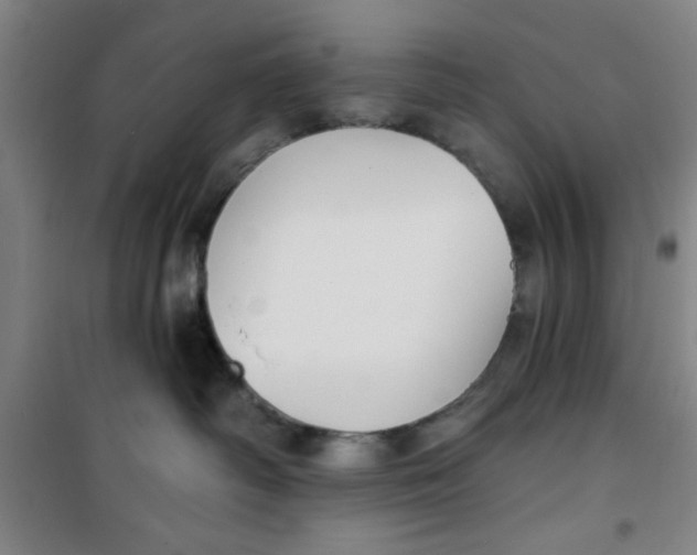 X0000099480334200805301624