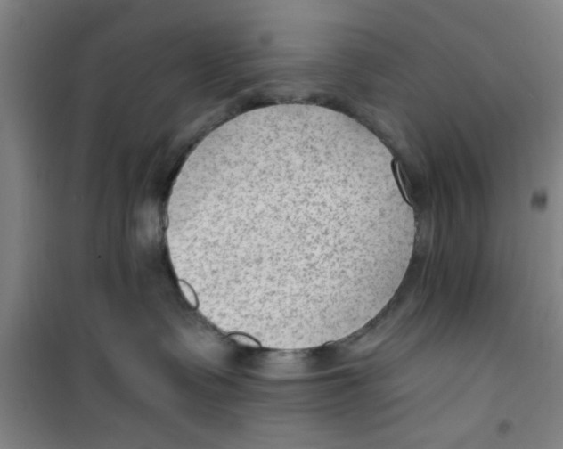 X0000099480335200805301624