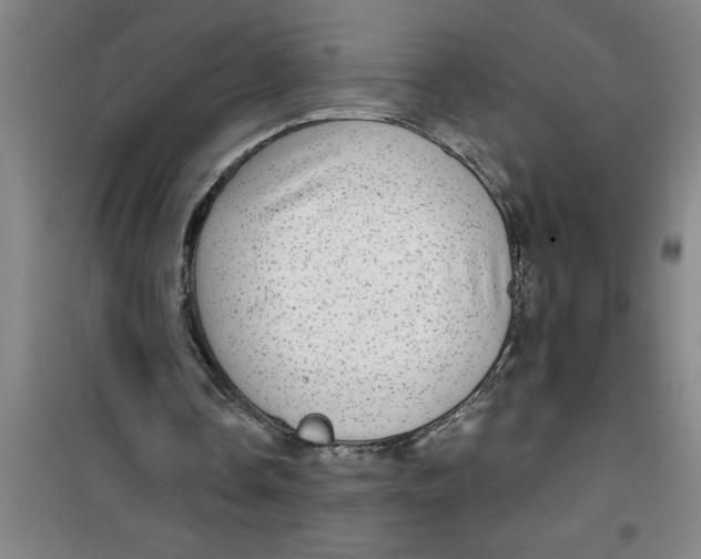X0000099480338200805301623