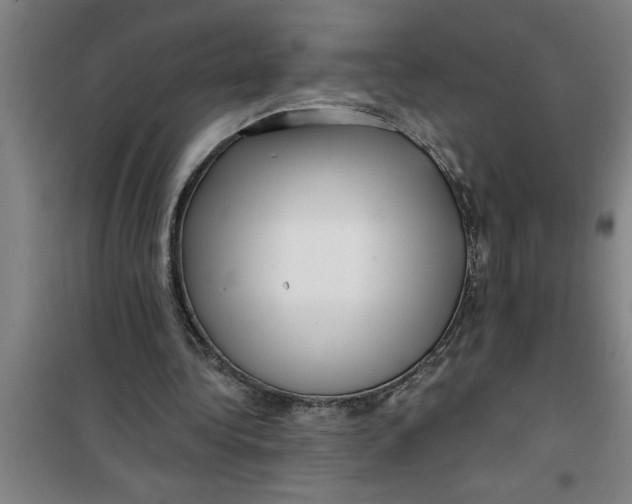 X0000099480340200805301623