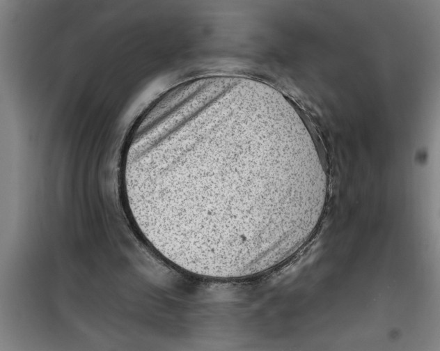 X0000099480341200805301623
