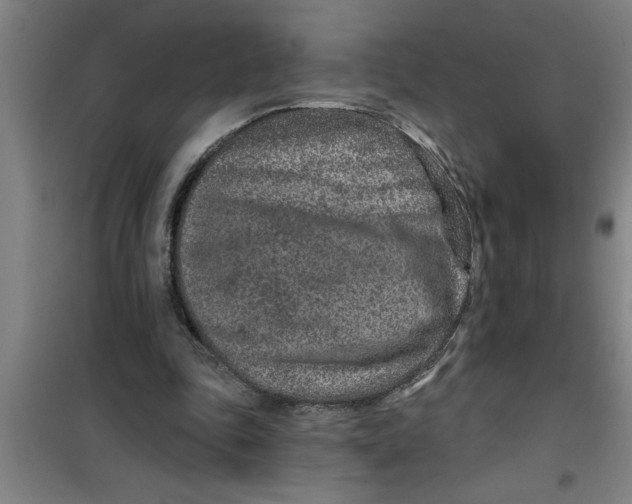 X0000099480343200805301623
