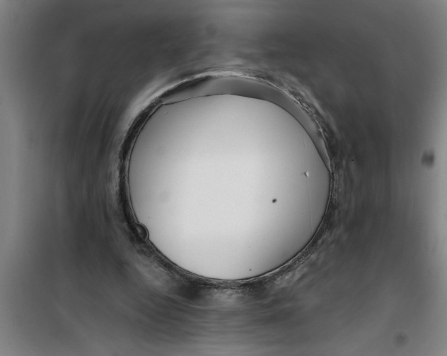 X0000099480344200805301623