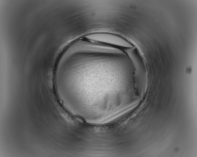 X0000099480345200805301623