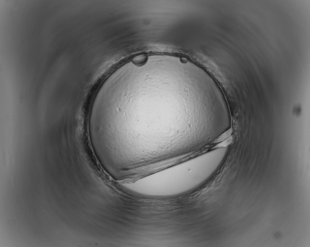 X0000099480347200805301623