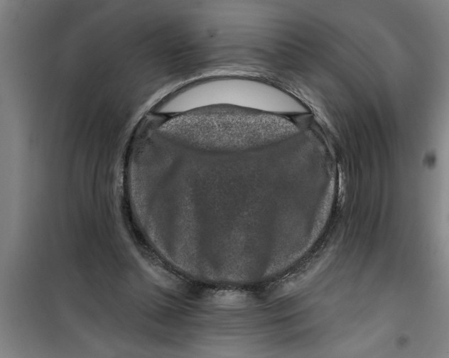 X0000099480348200805301623