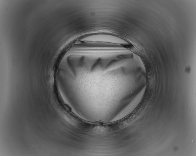 X0000099480350200805301623