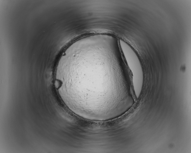 X0000099480351200805301623