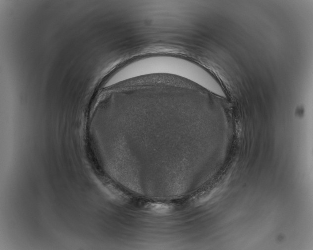 X0000099480352200805301623