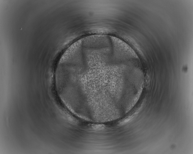 X0000099480355200805301624