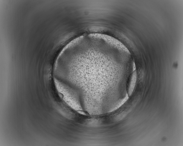 X0000099480356200805301624