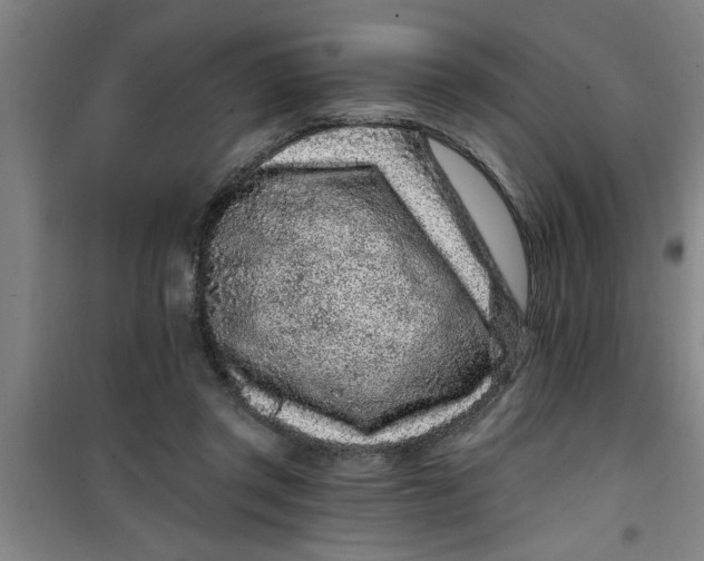 X0000099480357200805301624