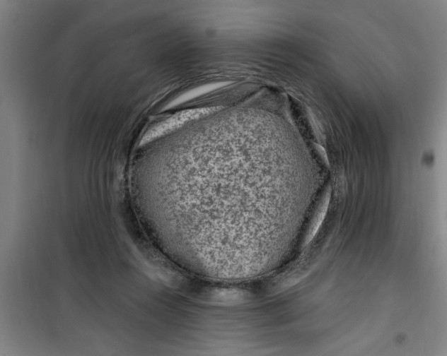 X0000099480360200805301624