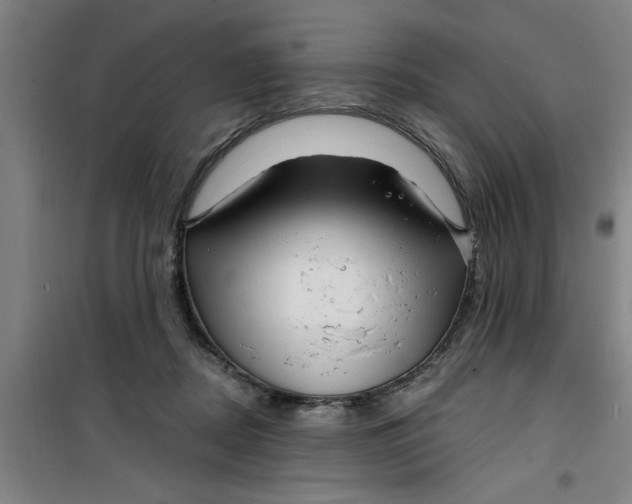 X0000099480362200805301624