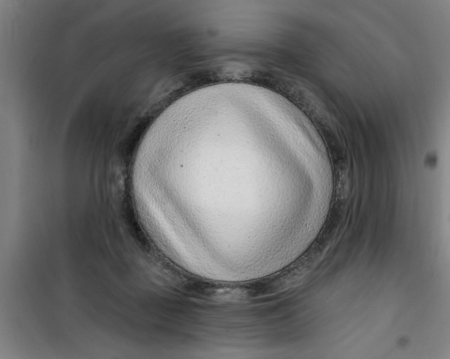 X0000099480363200805301624