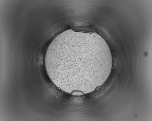 X0000099480368200805301624