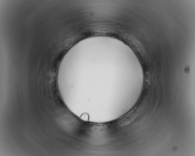 X0000099480369200805301624