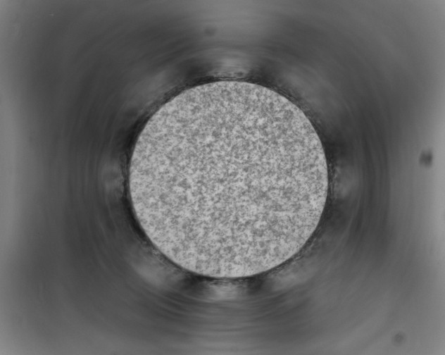 X0000099480370200805301624