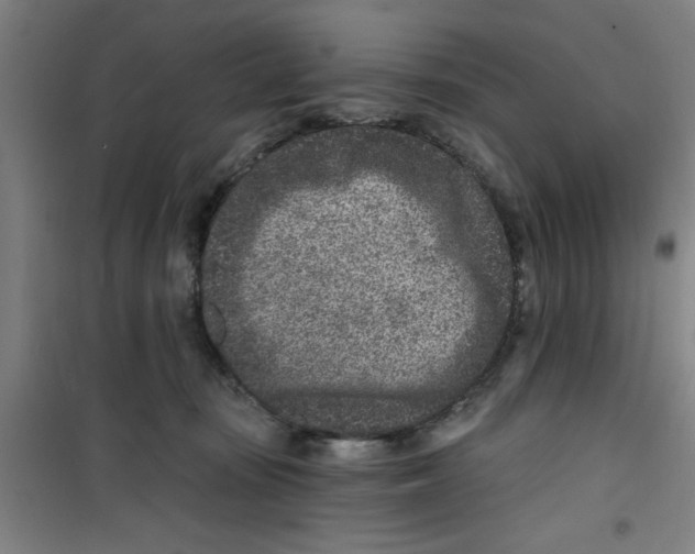 X0000099480371200805301624